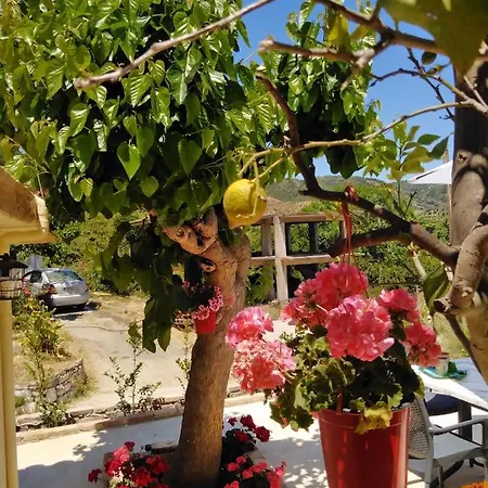 Casa Bellissima La Canée