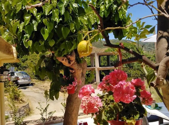 Casa Bellissima خانيا